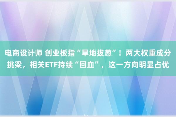 电商设计师 创业板指“旱地拔葱”！两大权重成分挑梁，相关ETF持续“回血”，这一方向明显占优