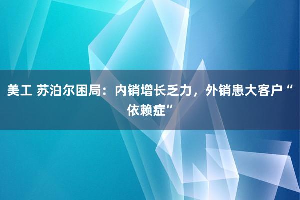 美工 苏泊尔困局：内销增长乏力，外销患大客户“依赖症”