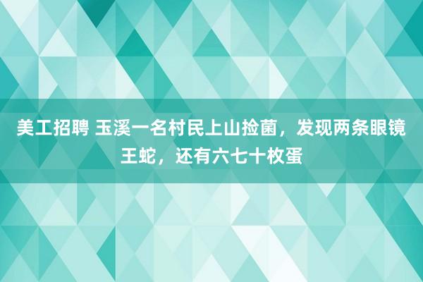 美工招聘 玉溪一名村民上山捡菌，发现两条眼镜王蛇，还有六七十枚蛋