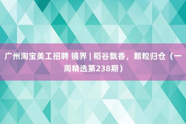 广州淘宝美工招聘 镜界 | 稻谷飘香，颗粒归仓（一周精选第238期）