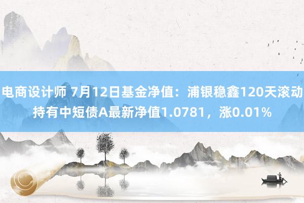 电商设计师 7月12日基金净值：浦银稳鑫120天滚动持有中短债A最新净值1.0781，涨0.01%