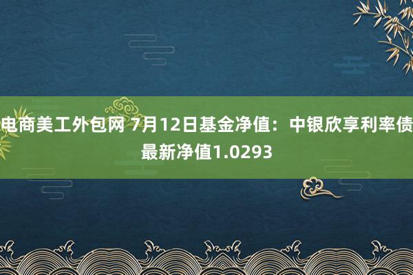 电商美工外包网 7月12日基金净值：中银欣享利率债最新净值1.0293