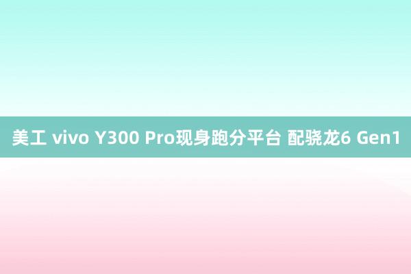 美工 vivo Y300 Pro现身跑分平台 配骁龙6 Gen1