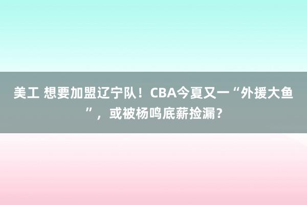 美工 想要加盟辽宁队！CBA今夏又一“外援大鱼”，或被杨鸣底薪捡漏？