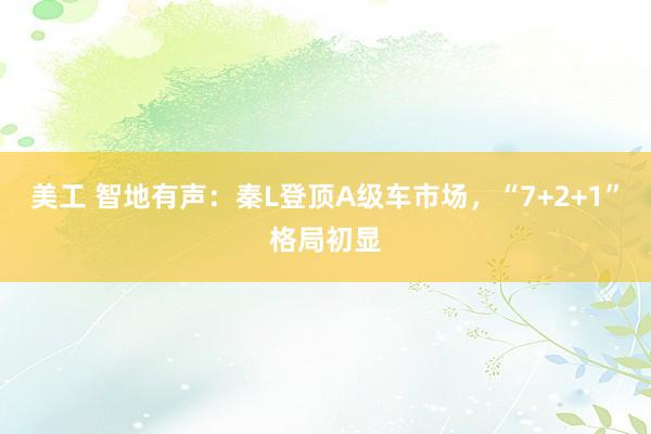 美工 智地有声：秦L登顶A级车市场，“7+2+1”格局初显